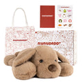 Weighted stuffed dog for child anxiety.