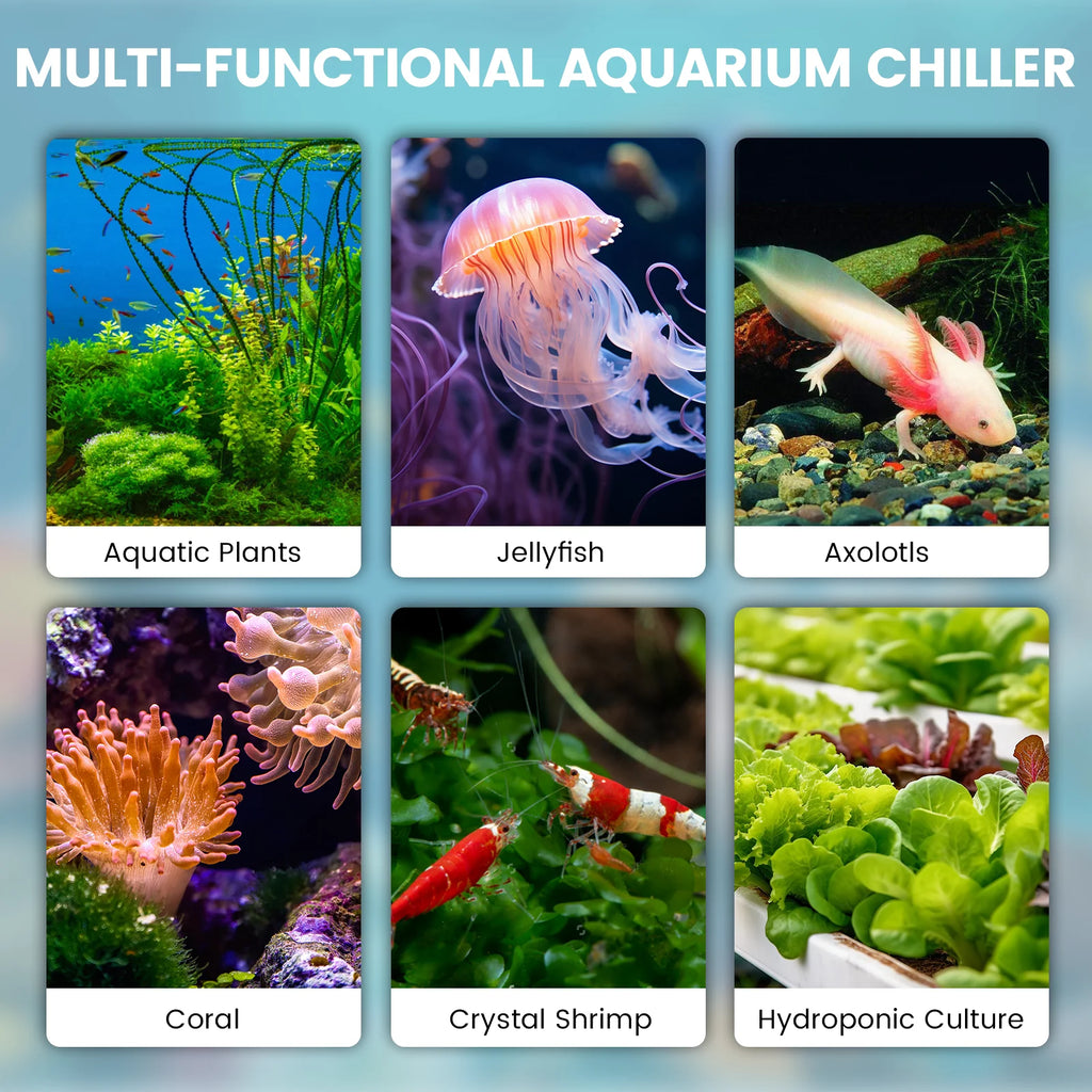 Aquarum Water Chiller 132 Gallon Fish Tank Ice