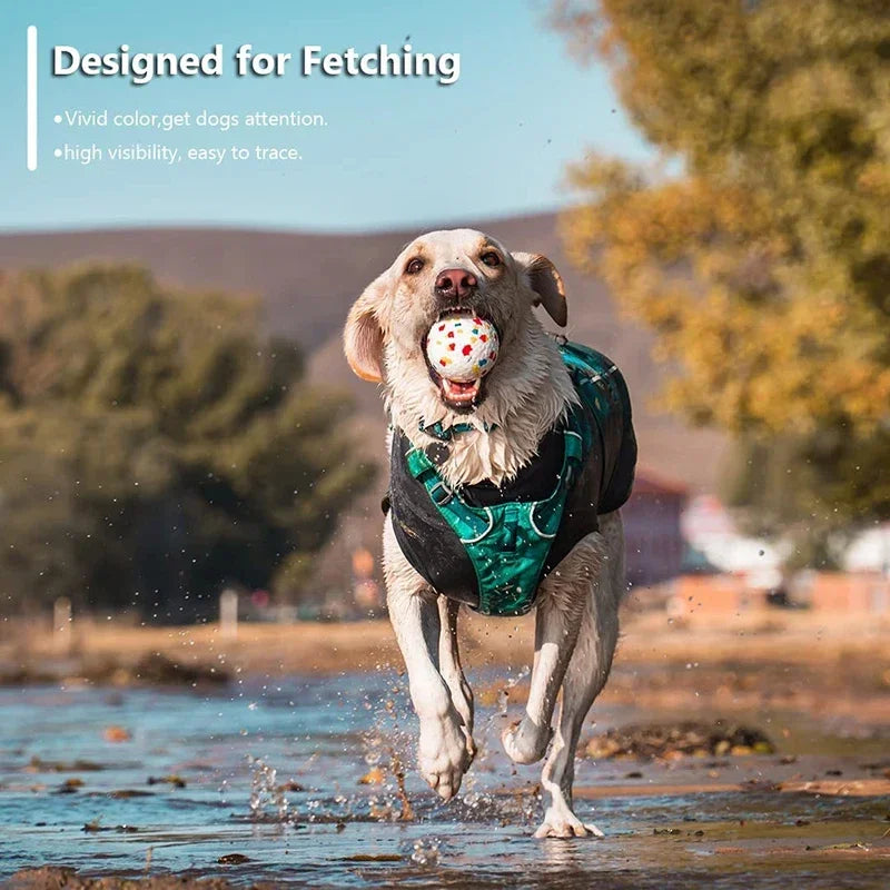 Bite-Resistant Solid Dog Ball Toys