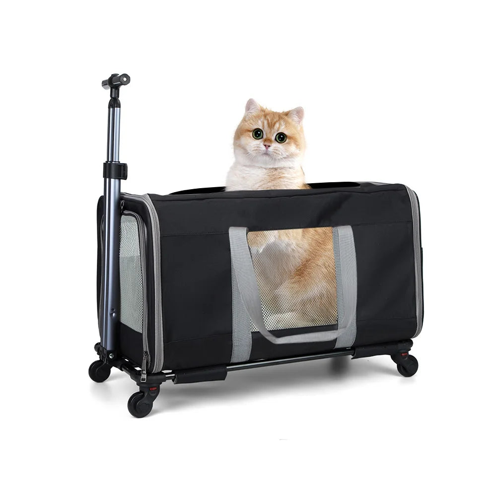 Cat trolley for 2 cats + Safety Belts