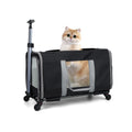 Cat trolley for 2 cats + Safety Belts