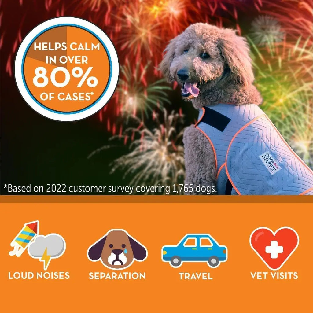 Large Platinum Dog Anxiety Relief Calming Vest
