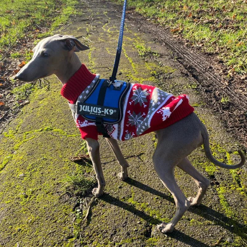 Cute Pet Dog Sweater for Small Dogs, Puppies, & Cats