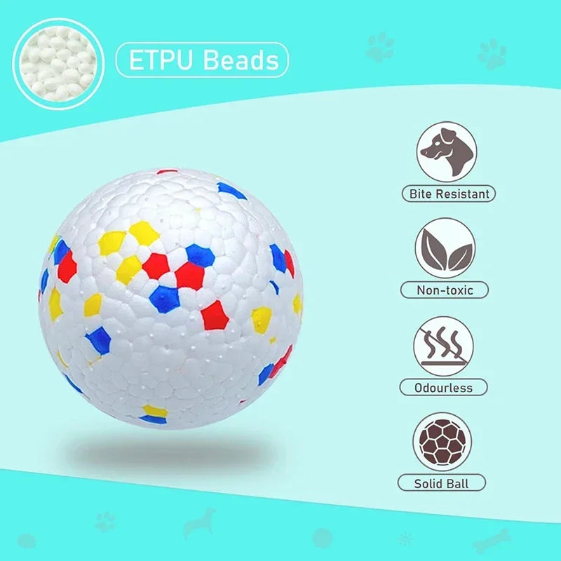 Bite-Resistant Solid Dog Ball Toys