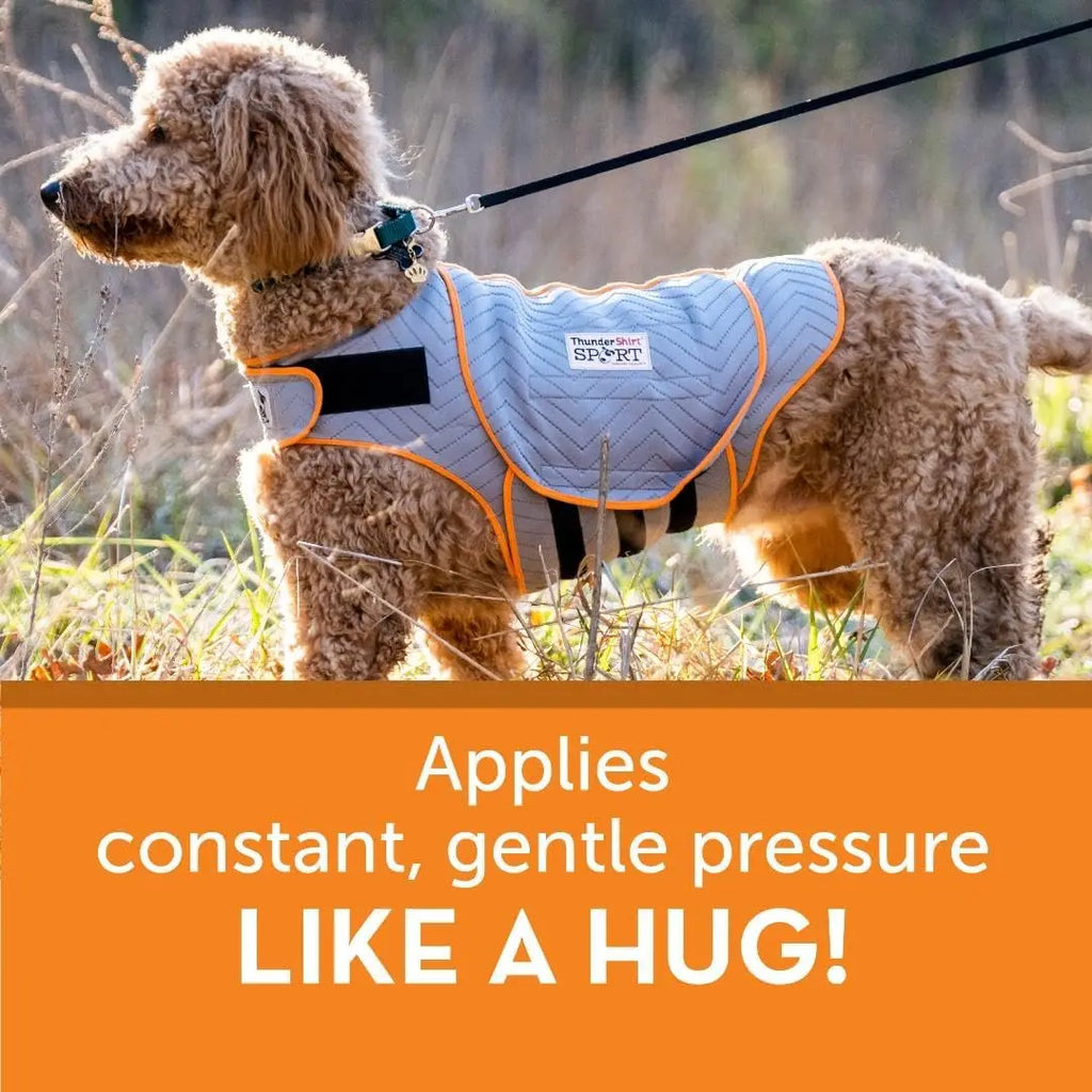 Large Platinum Dog Anxiety Relief Calming Vest
