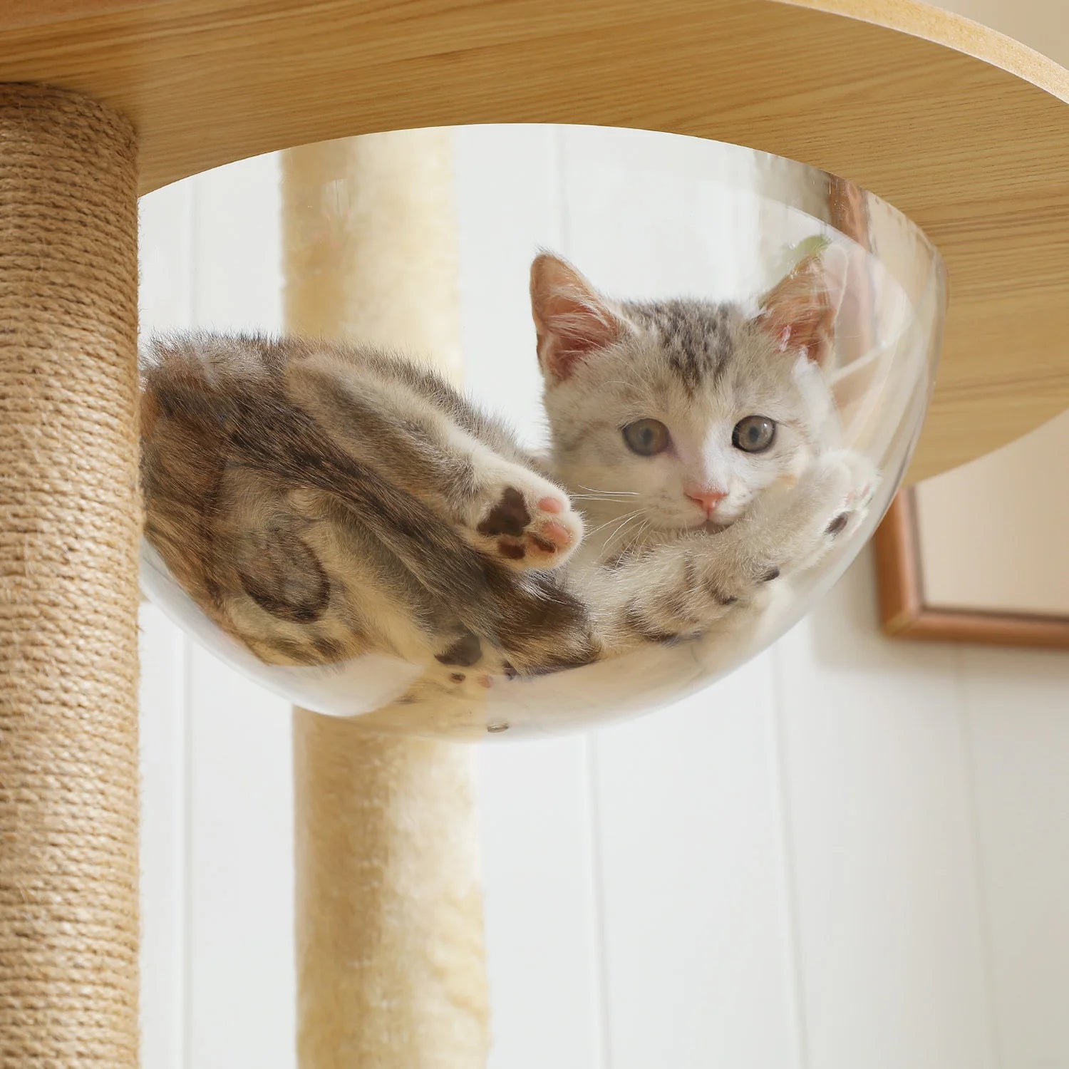 Multi-Level Cat Tree for Indoor Wood  Scretching post/Hammock
