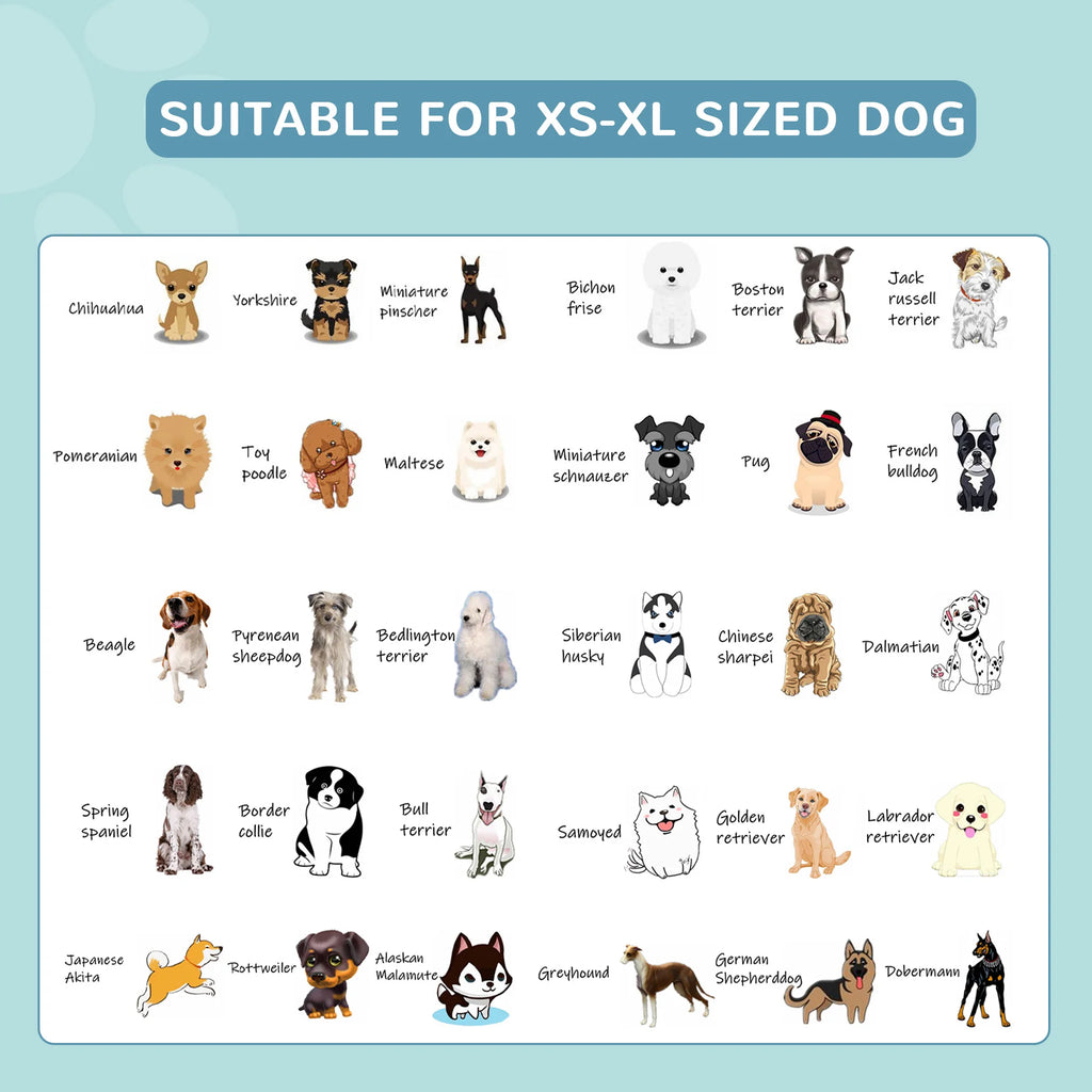 Foldable Pet Swimming Pool Easy To Store Portable Bathing Tub Plastic Durable Anti Slip Large Dog Outdoor pool