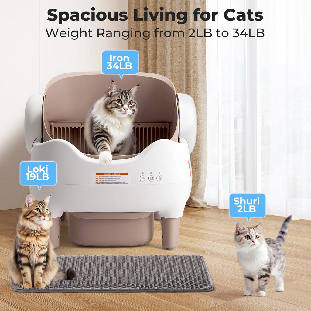 Self-Cleaning Automatic Litter Box