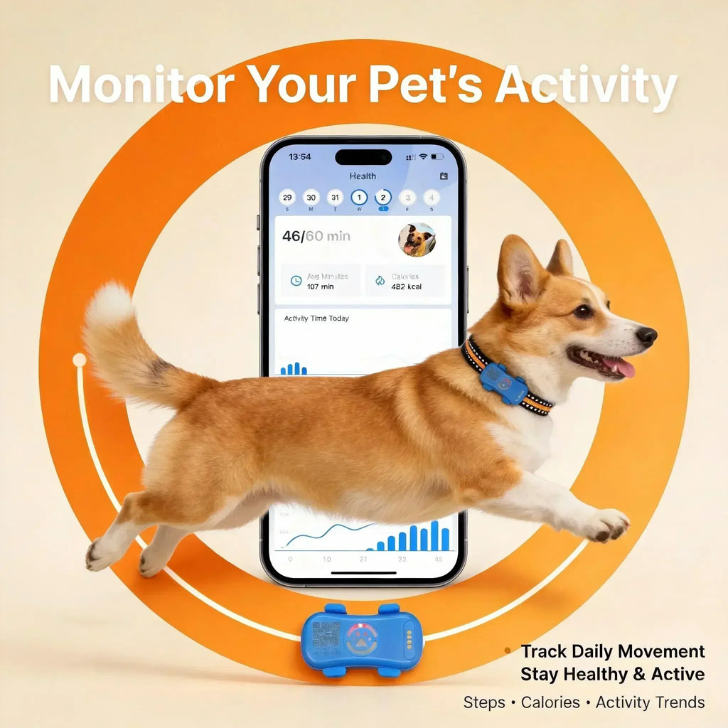GPS Pet Tracker 4G for Dogs & Cats Built-in SIM with Real-Time Tracking,
