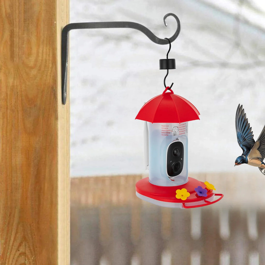 Bird Feeder—Video 1080P 160° Wide Angle 10000+ AI Bird Recognition