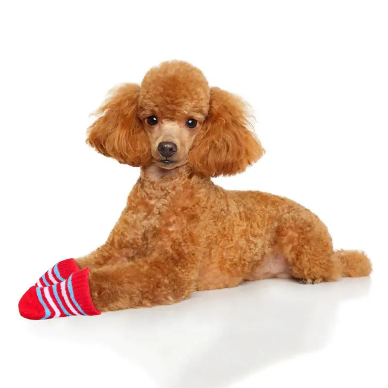 Pet Socks Cats and Puppys Anti Slip  Socks Knitted