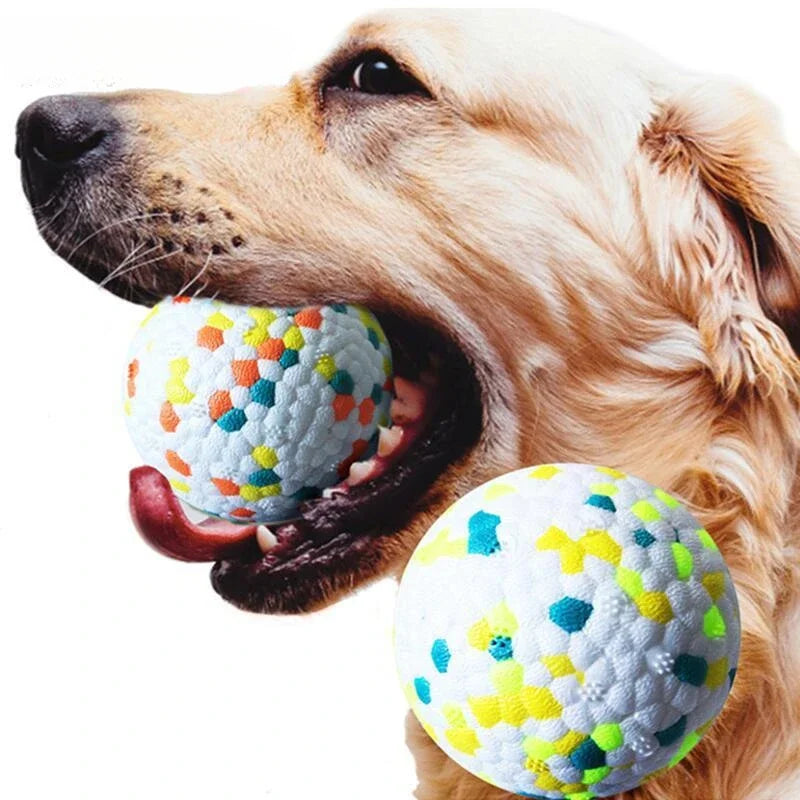 Bite-Resistant Solid Dog Ball Toys