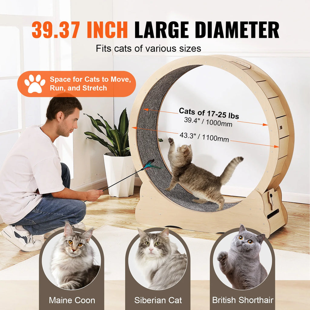 Wooden Cat Treadmill  Large Cat