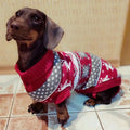 Cute Pet Dog Sweater for Small Dogs, Puppies, & Cats
