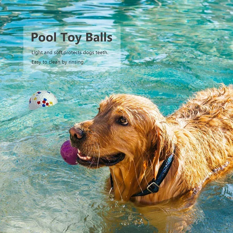 Bite-Resistant Solid Dog Ball Toys