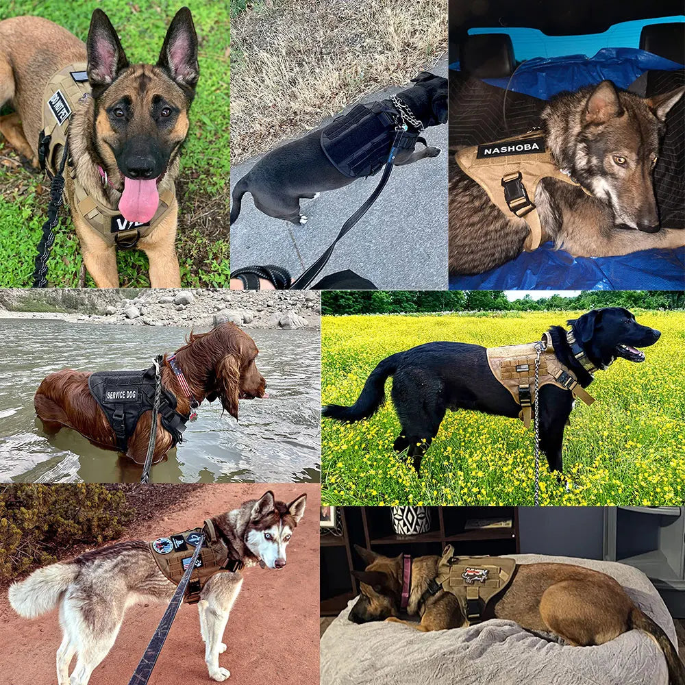 Dog Harness And Leash Vest Training  Medium/Large