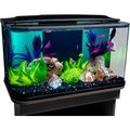 20 Gallon Glass Aquarium Kit with LED Lighting