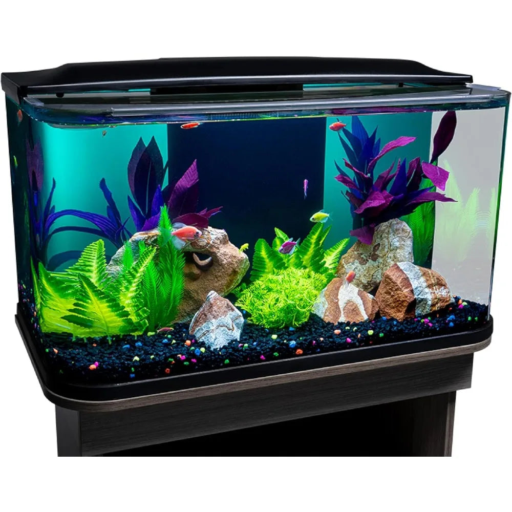 20 Gallon Glass Aquarium Kit with LED Lighting